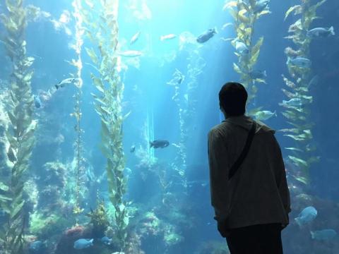 提供2049國泰服務的專家黃國泰