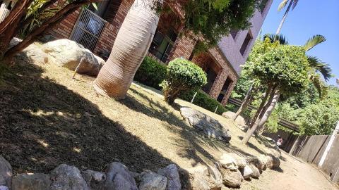 新竹鋸樹，除草，割草 - 住家花園整理