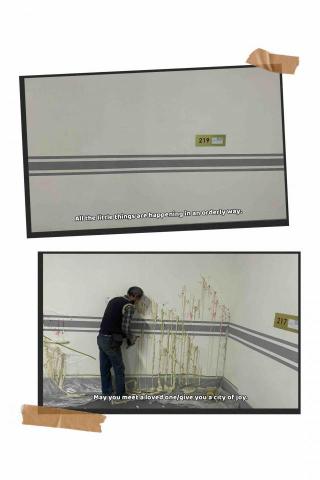 緯盛油漆（林先生） - 地點：汐止區大樓地下室停車場
問題：打針灌注後，油漆牆面復原休繕