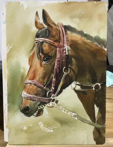 林峻賢 - 水彩動物