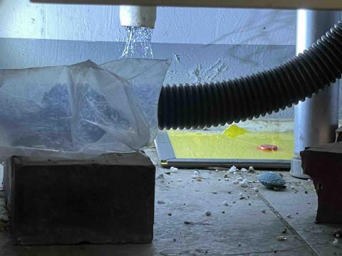 佳堡環衛企業社 - 社區鼠害防治