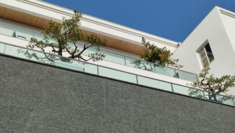 八風園藝 - 嘉義呂董事長委託大型盆栽,因排水不良,進行介質更換作業(作業完成,全吊吊掛歸位)