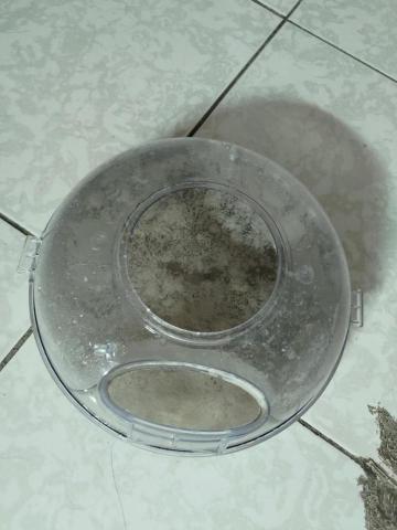 家樂事除蟎 - 床墊除蟎後之過濾水污濁情況