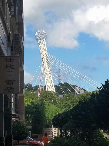 悅風華企業 - 去汐止 打鳥