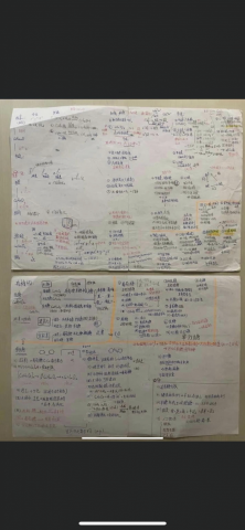 楊曄昕 - 高中時 生物筆記