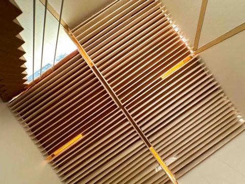 提供sbir代寫服務的專家林楚芸