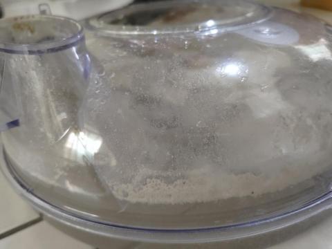 家樂事除蟎 - 使用八年床墊除蟎效果