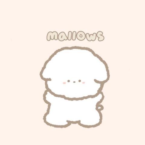 提供照片似顏繪app服務的專家小勺