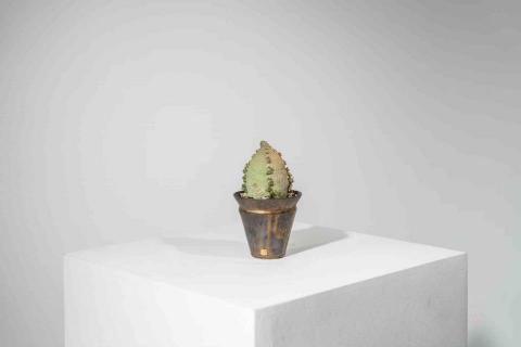 謝孝弘 - 商品拍攝