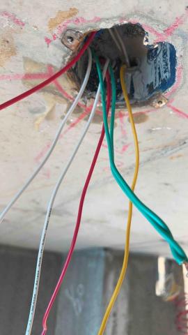 賴金鴻 - 新建大樓 