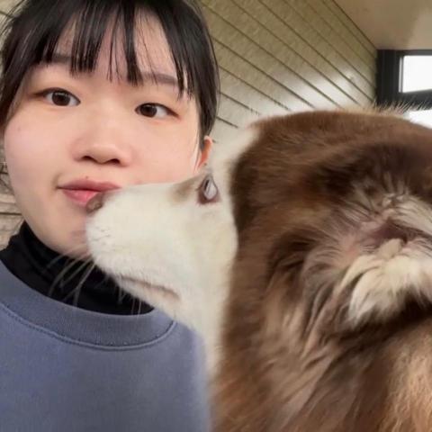 提供irent同站租還服務的專家高郁婷