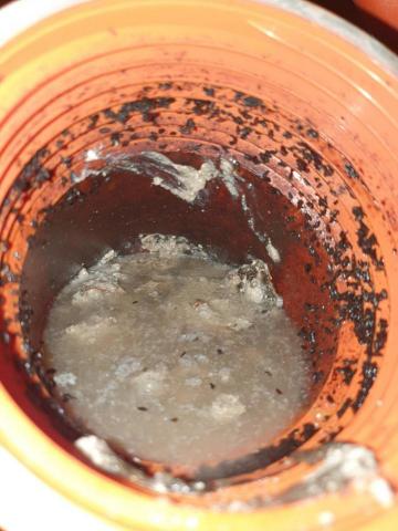 上佑妮事業有限公司 - 管路內部油塊阻塞