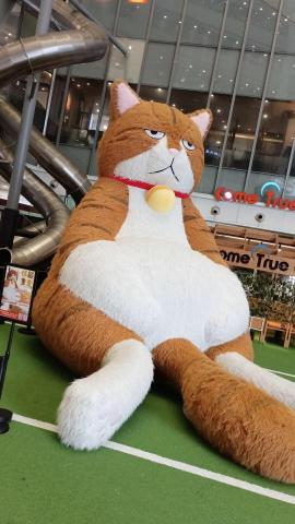 提供陸抖服務的專家陸泠