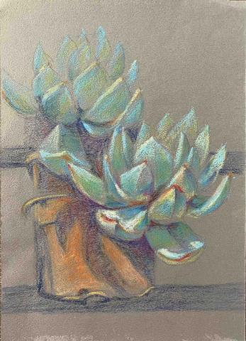 Jasmine老師 - 蠟筆