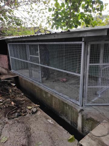 承發工程 - 流浪狗小屋