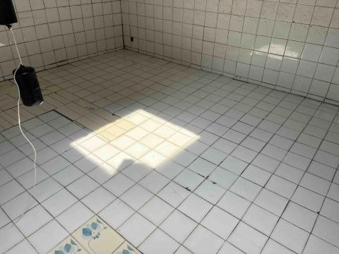 🐯通管達人🐯抓漏職人🐯馬桶專家🐯 - 