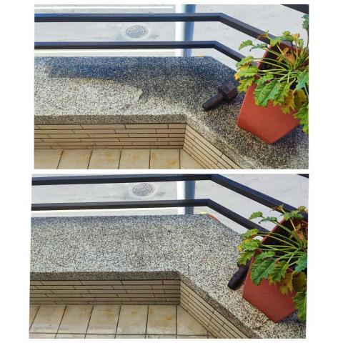 芯美清潔 - 圍牆青苔清潔 上為清潔前 下為清潔後