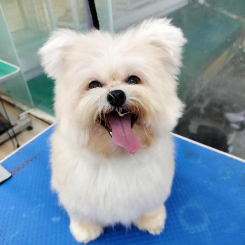 賴詠晴 - 洗澡完