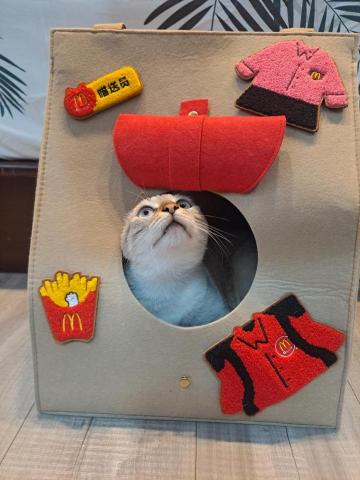 寵物伴侶_貓之助 - 貓咪陪玩、抒發情緒、釋放活力、緩解緊張