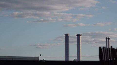 Alex Wang - 《日常無常 Der Alltag ist verg&auml;nglich》2021/ 16min 09sec/ 德國、台灣