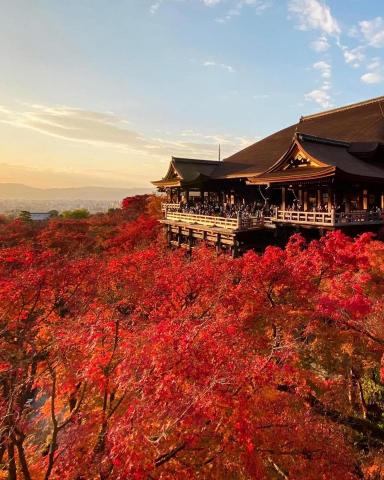 和風塾線上日語 - 清水寺清水舞台 和風塾線上日語 - 清水寺清水舞台