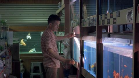 Alex Wang - 《錢江衍派 Time splits in the river》2016/ 89min/中英文/台灣