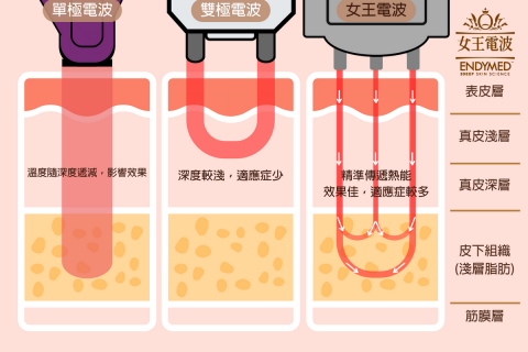 創藝空間 - 20230830-女王電波向量插畫圖