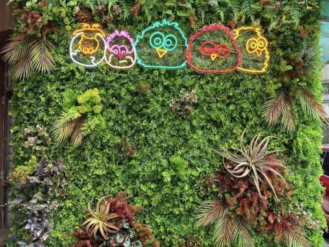 花作好日 goodfloralday - 