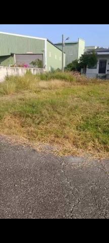 柏君園藝 -  柏君園藝 -