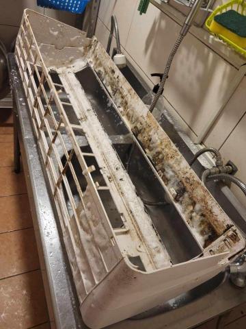 恩典海豹清潔 - 分離式外殼清潔 恩典海豹清潔 - 分離式外殼清潔