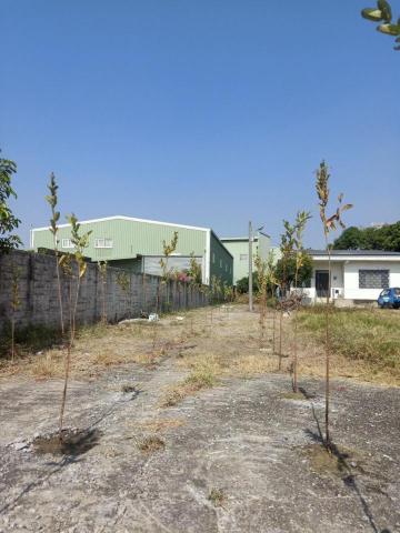 柏君園藝 -  柏君園藝 -