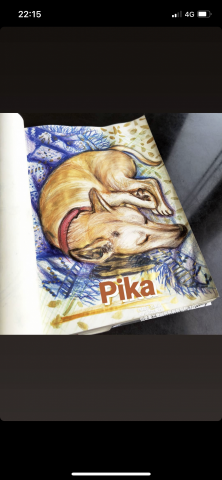 蔣孟潔 - 速寫色鉛筆