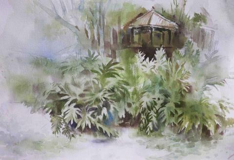 Ivy - 水彩（寫生）