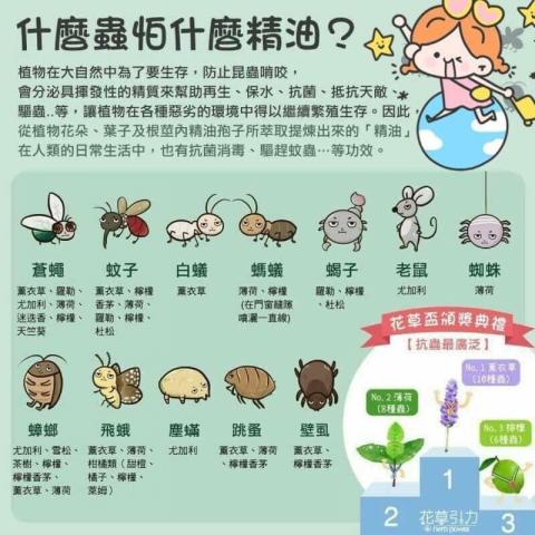 Cathy謝小明 - 無毒除蟲