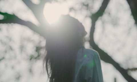 森林魚攝影工作室 - 