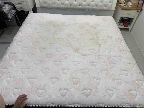 A Wo studio 頂級傢俱傢飾維護工作室 清潔·保養 - 床墊洗前