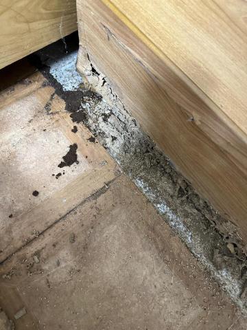 大地除蟲有限公司 - 久未整理的住家床鋪