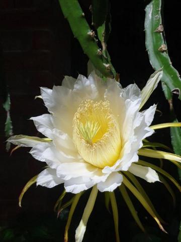 提供缸魚缸服務的專家曰億