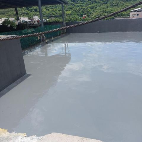 鴻林黃（King） - 基隆屋頂防水 pu 