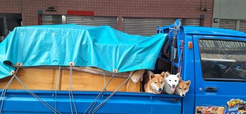 林沛宏 - 左營衣櫥清運