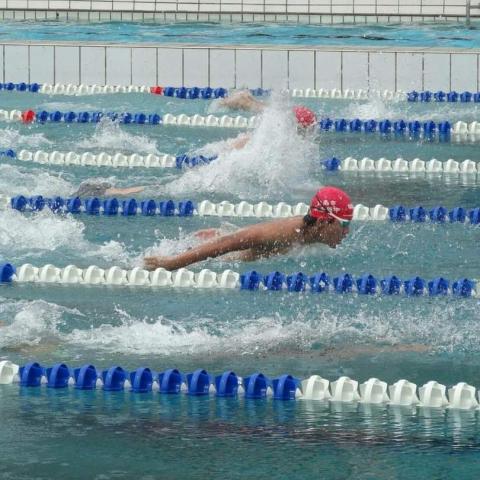 提供水上服務的專家乃基教練