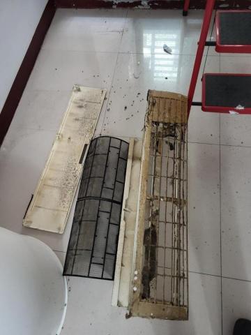 恩典海豹清潔 -  恩典海豹清潔 -