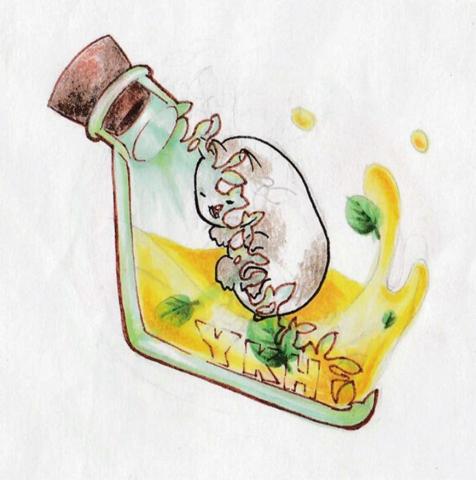 左筠芊 - -插畫-
薄荷倉鼠