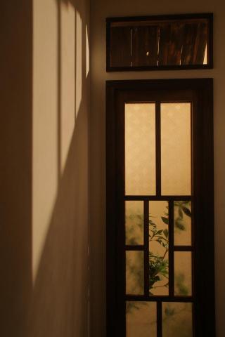 謝瞳 - 平面拍攝7