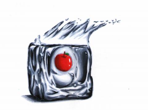 PLAYER - 酒精麥克筆+色鉛筆