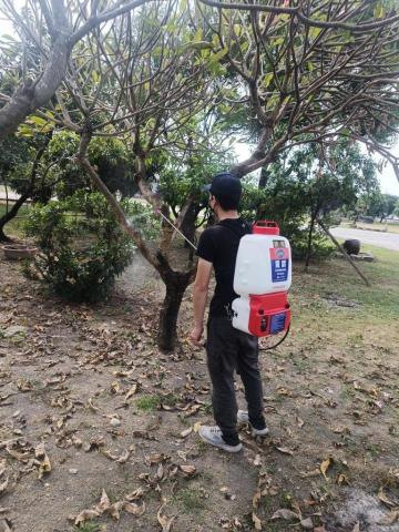 匠殺蟲病媒防治有限公司 - 樹木白蟻防治