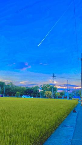 陳政憲 - 類似這種的調色 有喜歡都可以找我