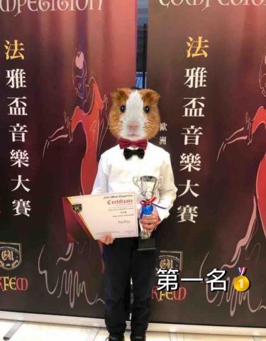 施欣妤🎻小提琴教學中英授課|小提琴表演 -  施欣妤🎻小提琴教學中英授課|小提琴表演 -