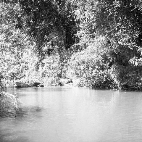 鼠兔 -  傳統底片黑白攝影