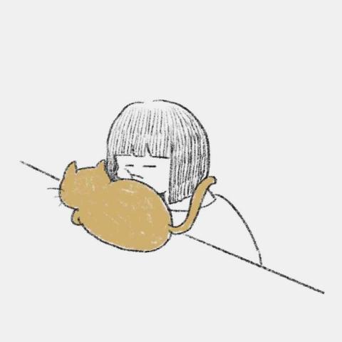 JIAXIN illustration - 